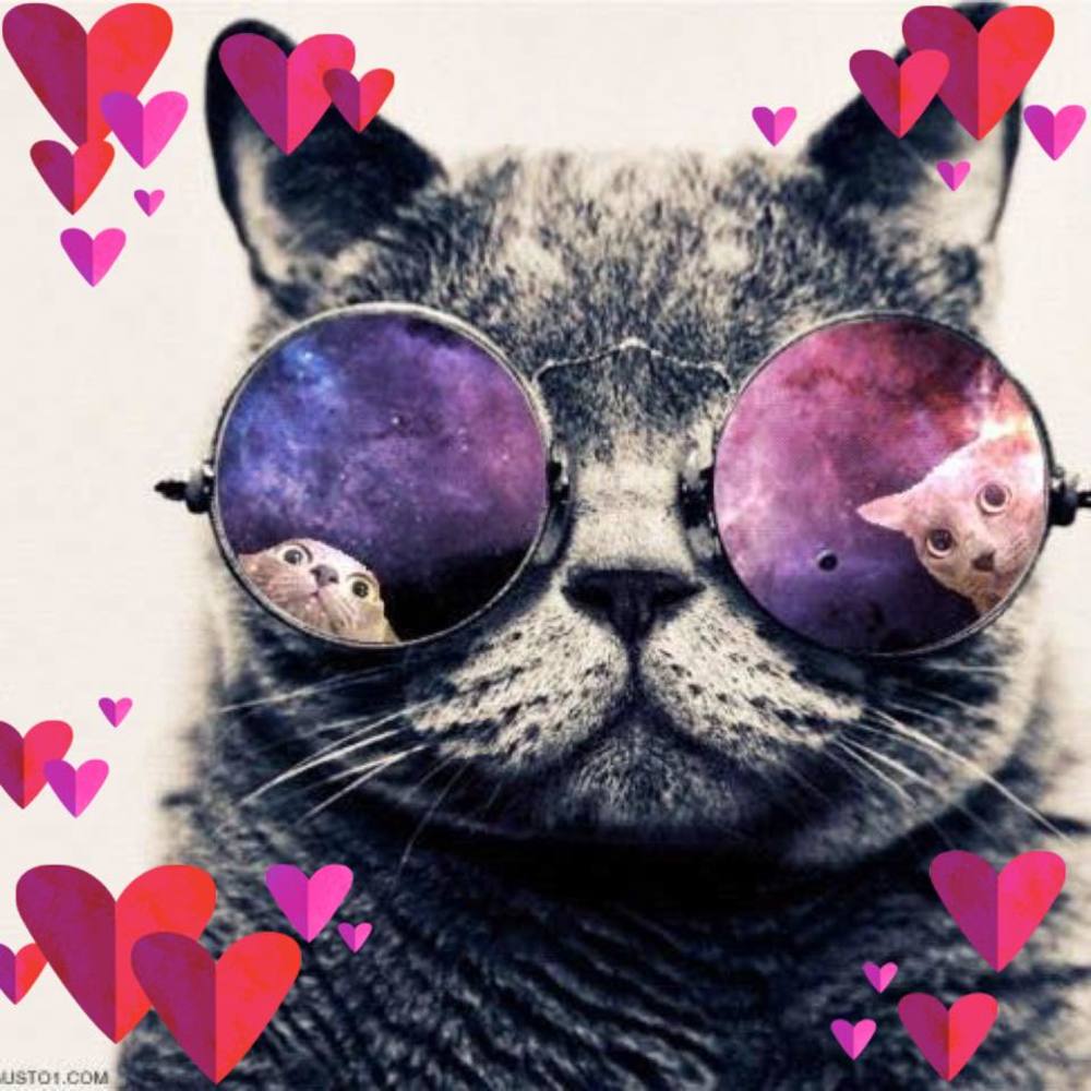 Meet your Posher, Deb